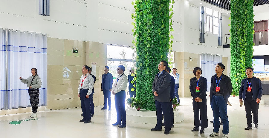 人大代表视察现场(赵磊 摄)