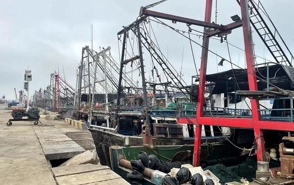 渔船回港停船休整 （林三彪 摄）