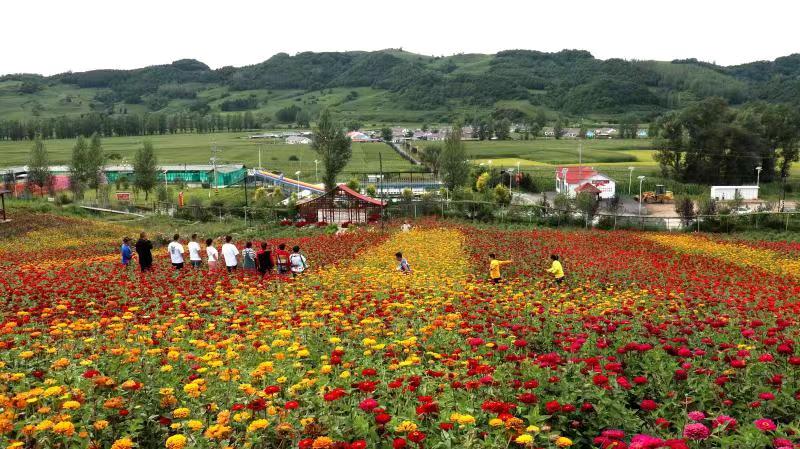 游客在桦郊乡友谊村欣赏花海。（李广友 摄）