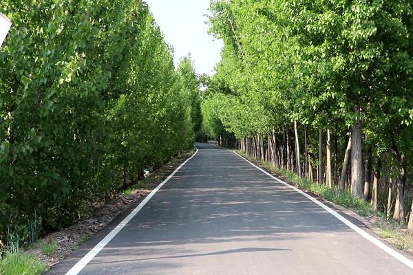 路在风景中（田雪 摄）