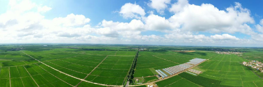 罗家房镇水田（谢东昊 摄）