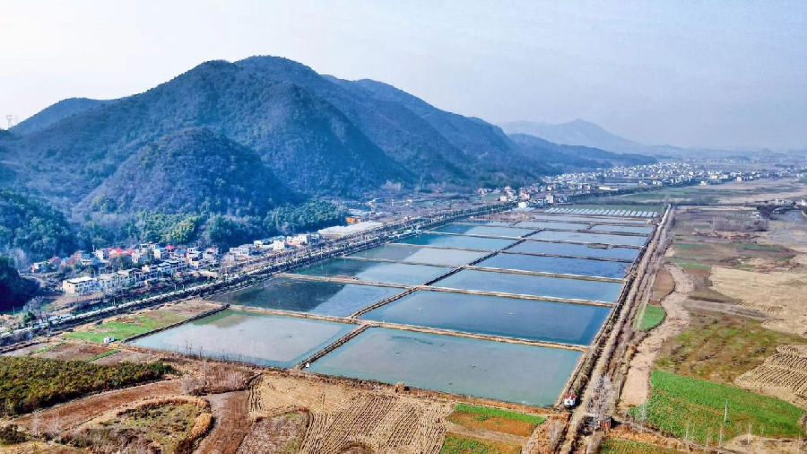 图为湖北长乐泉井农业科技有限公司全景（倪胜林 摄）