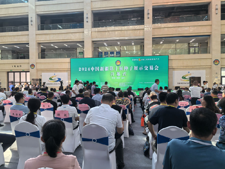 图为开幕式现场（查燕荣 摄）