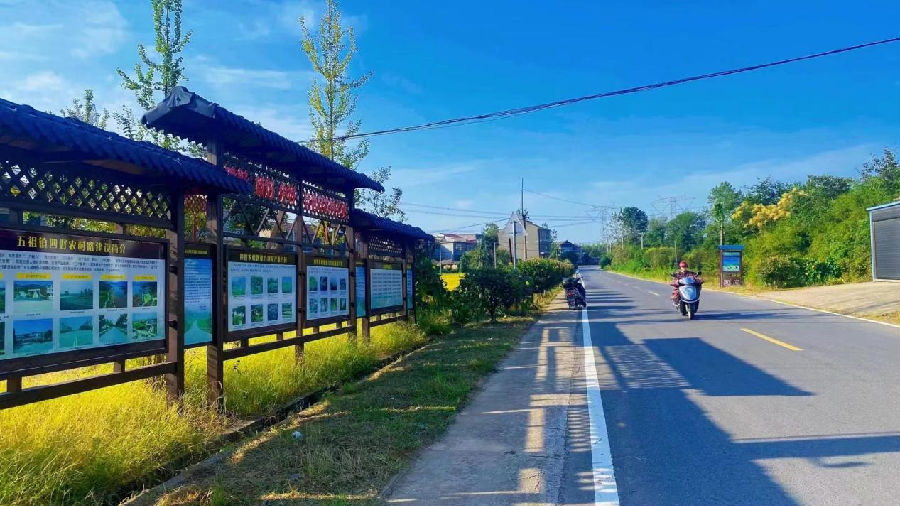 图为美丽渡河村（桂冠 摄）