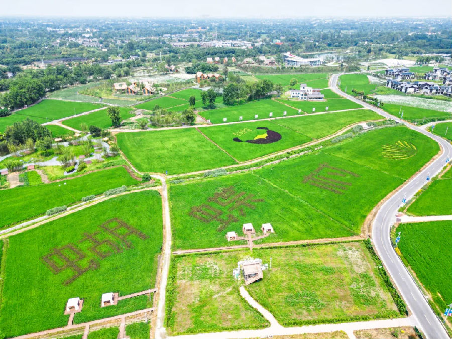 郫都美丽的乡村（龚芮 摄）