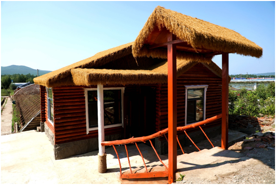 阿木尔林业局中心苗圃蓝莓园新改造完成的具有民宿风格的塑料大棚耳房（王力 摄）