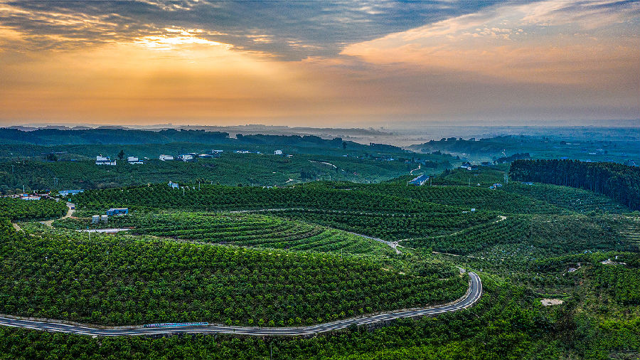 丹棱——中国桔橙之乡（丹萱 摄）