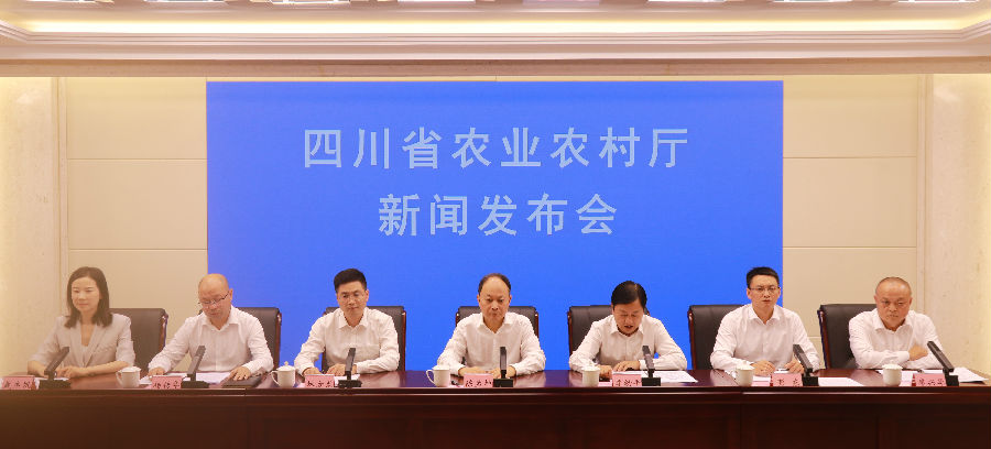 新闻发布会现场（戚原 摄）