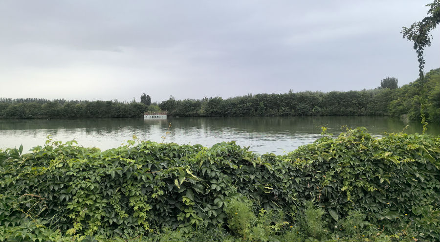 阿克苏国家湿地公园景色 （查燕荣 摄）