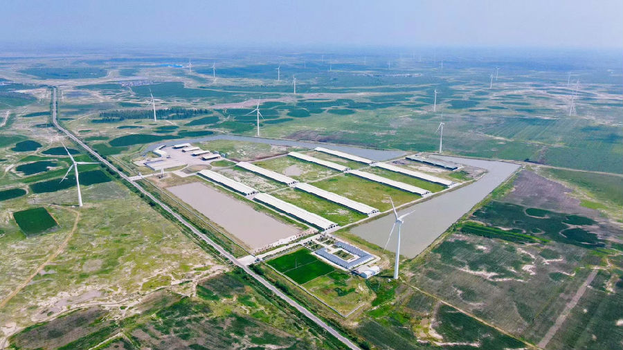 和合牧业牧场航拍图（谷月 摄）