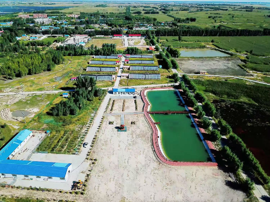 黑鱼泡村千耦产业示范园区（邹润轩 摄）