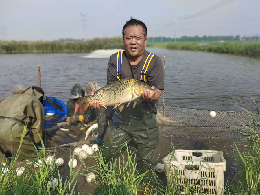  养殖生态鱼 （朱梅宝 摄）