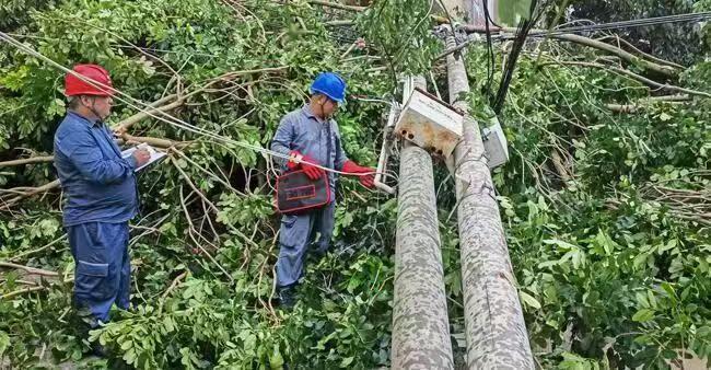 儋州供电局全力抢修保供电（黄建明 摄）