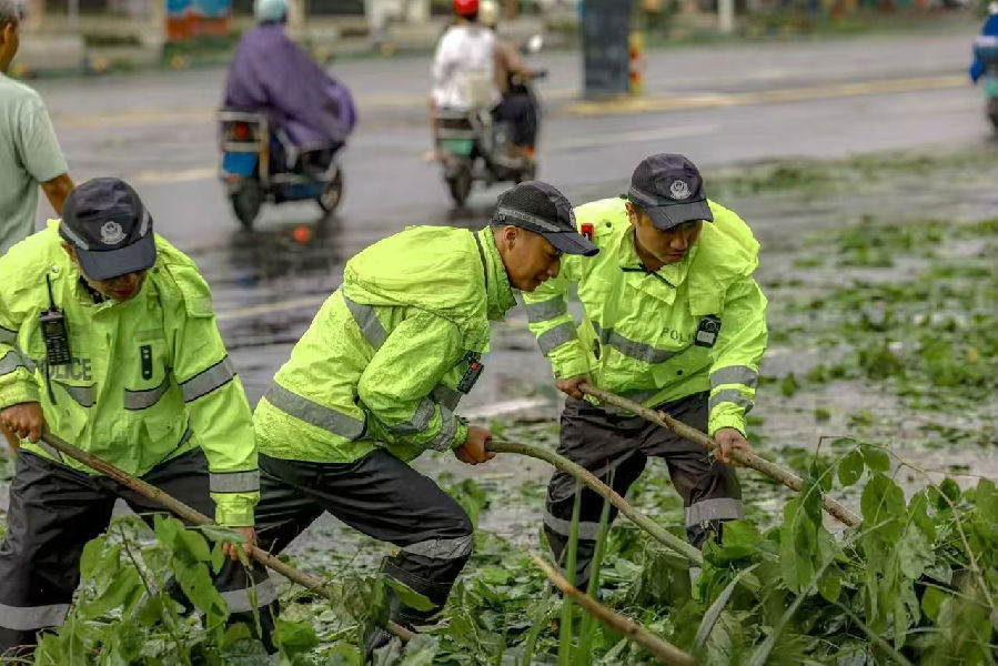 海口警方全速抢通阻断路段对倒伏树木进行清理（张天坤 摄）