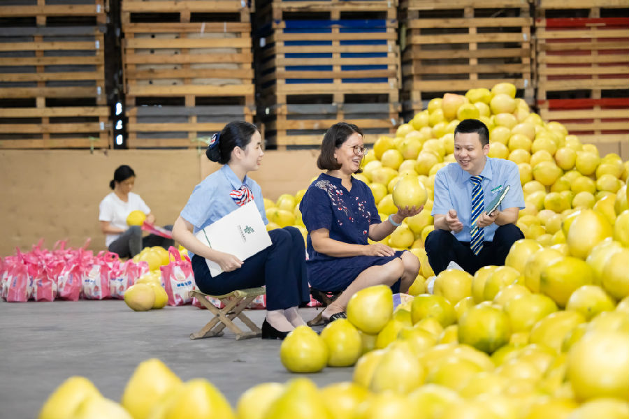 邮储银行漳州市分行客户经理送“贷”下乡，助力农民丰收 （陈淑惠 摄）