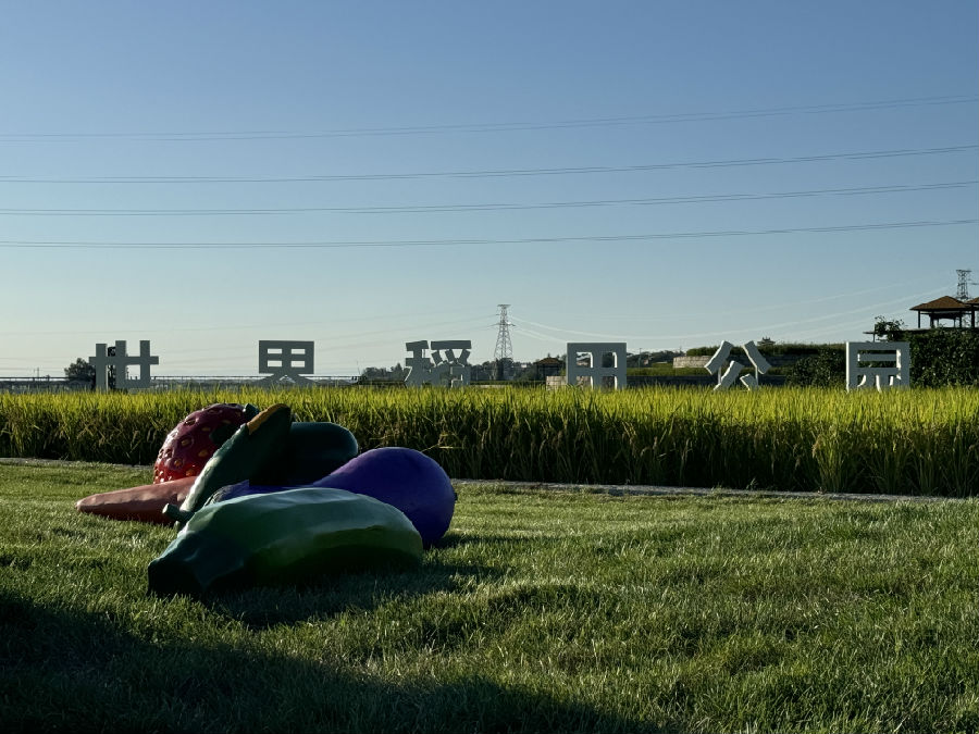 &nbsp;农文旅融合打造世界稻田公园 (霍芮摄)