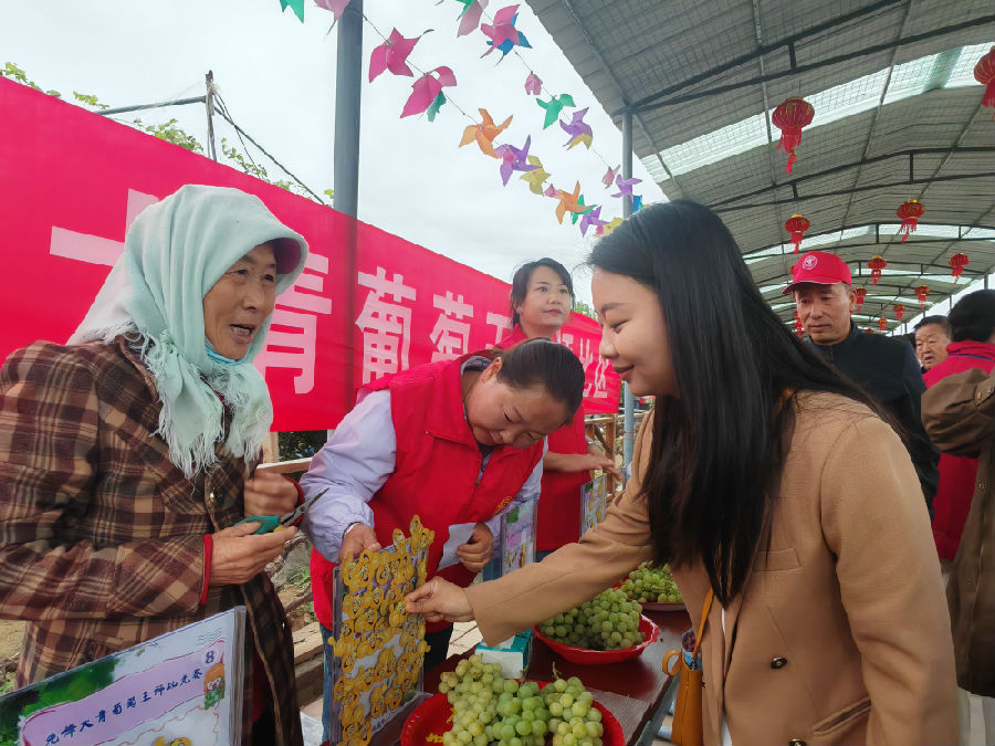 游客品尝大青葡萄（余劲草 摄）