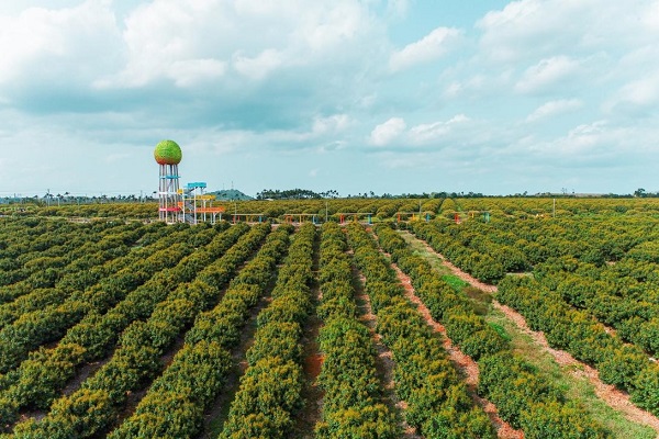 琼山区美丽乡村（吴月英 摄）