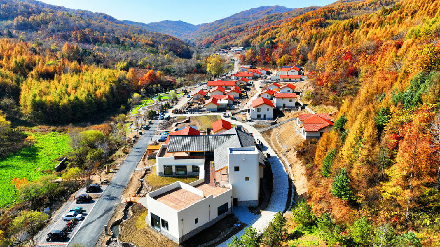 图为湖上村民宿（任泳吉 摄）