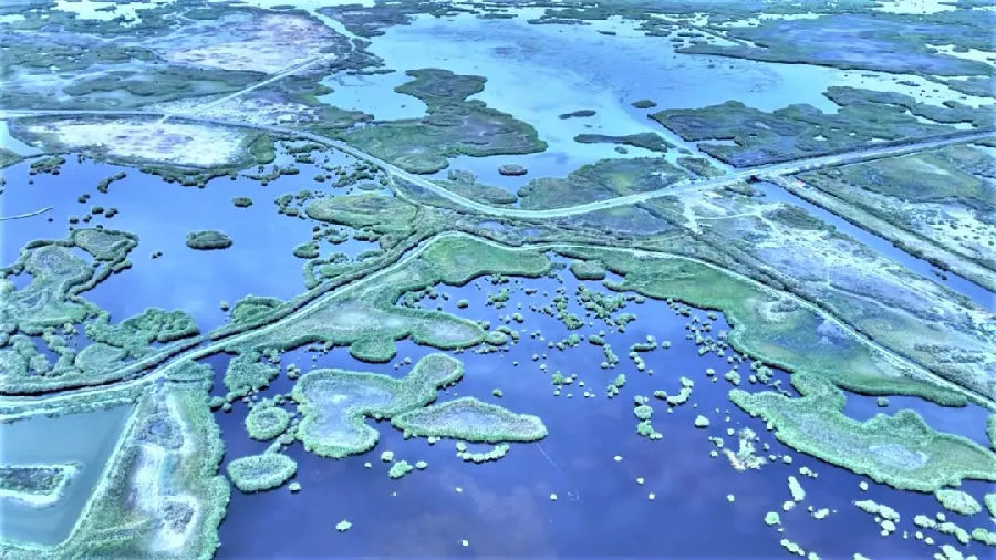 图为和硕县龙驹湿地波光粼粼的湖面如诗如画 （道尔利 摄）