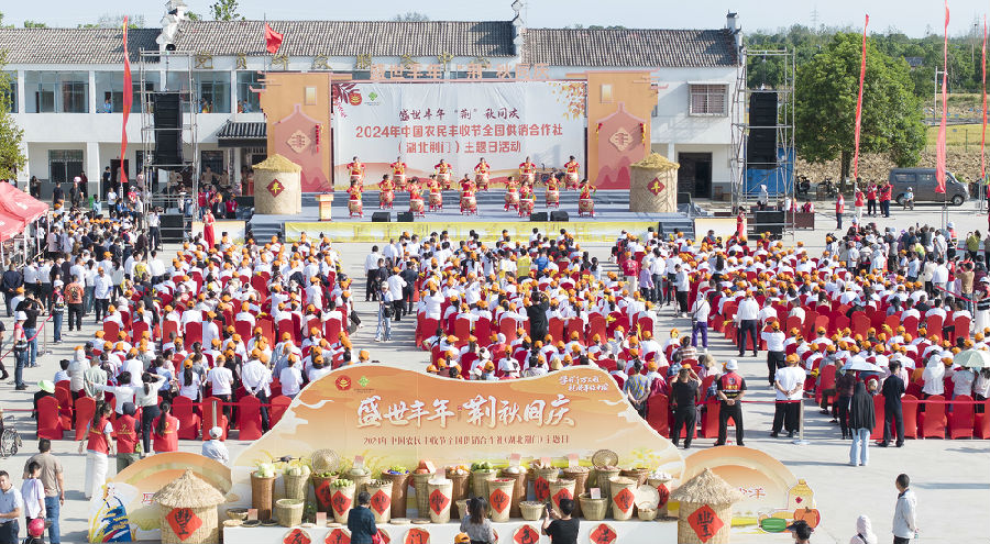 活动现场（张彩云 摄）