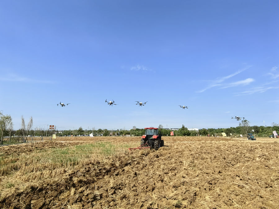 现场展示植保无人机智能施肥（余惠玲 摄）