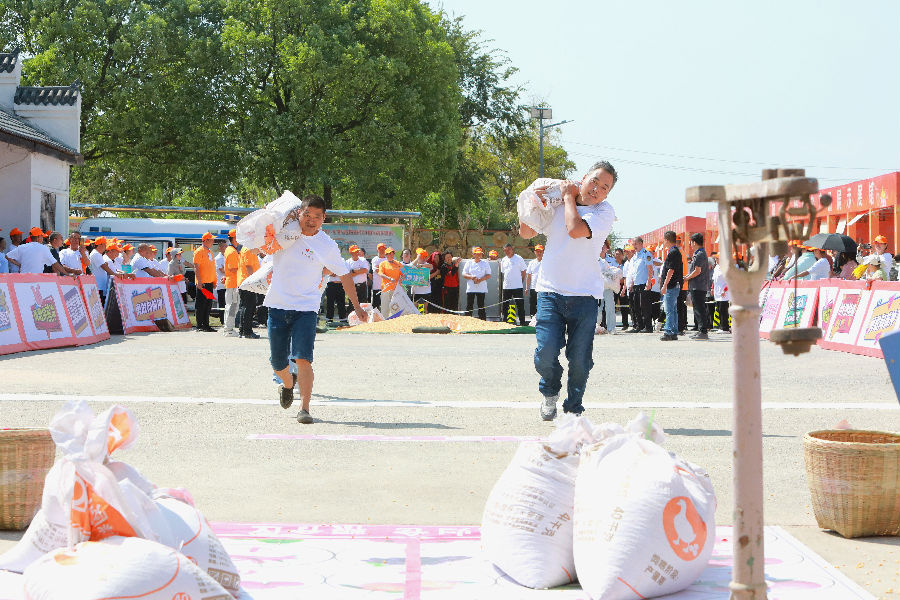农民趣味运动会游戏环节（张彩云 摄）