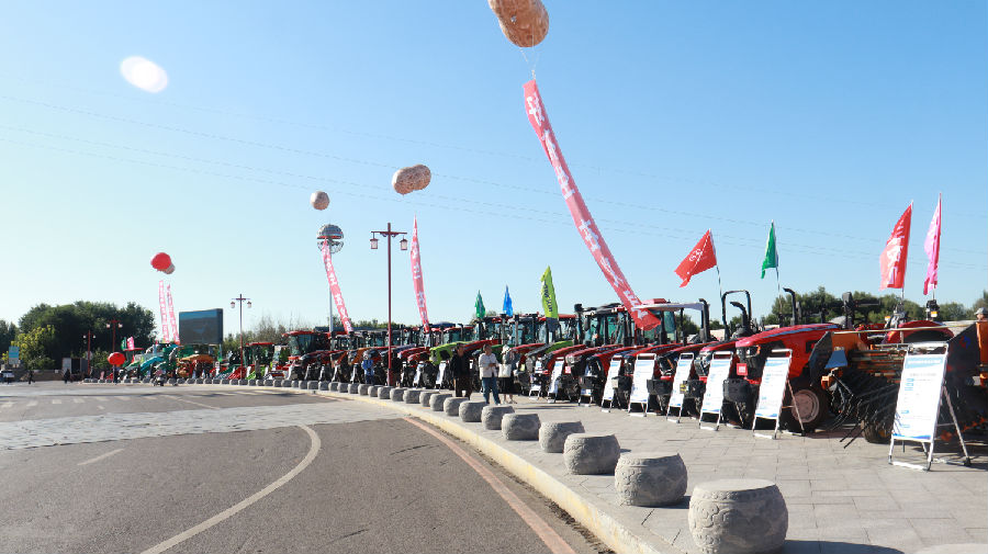 活动现场（何饶 摄）