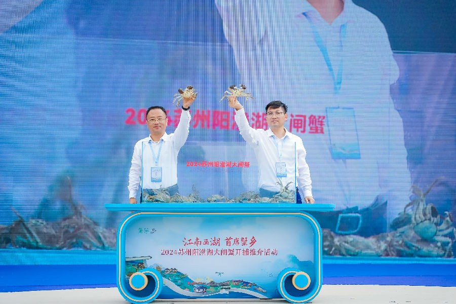 2024苏州阳澄湖大闸蟹开捕推介活动现场（张伟伟 摄）