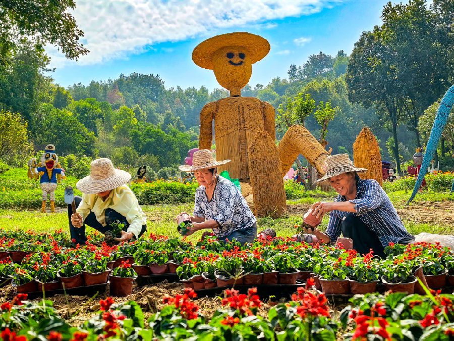 四季花海工作人员正在布置“花景”迎接游客（童曙明 摄）