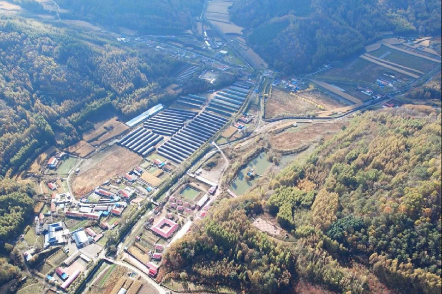 江东乡横道子村桑黄种植冷棚俯瞰图（刁茁 摄）