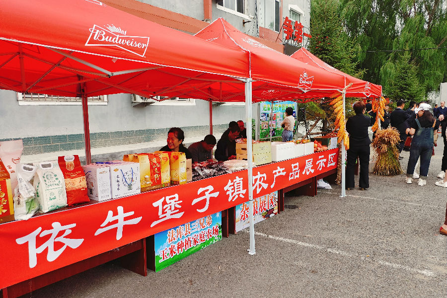 活动现场（赵彤 摄）