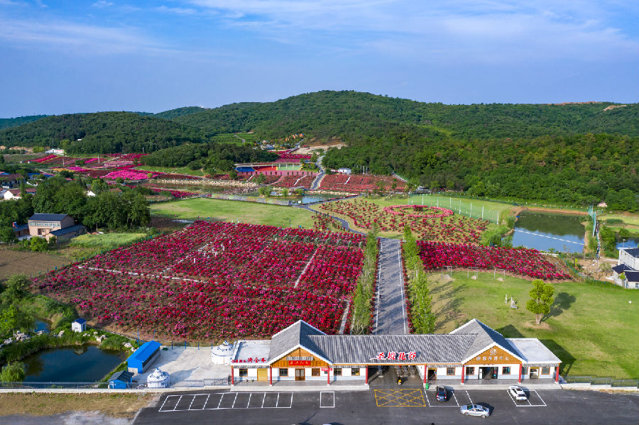 图为圣境花谷美景（刘嫣 摄）