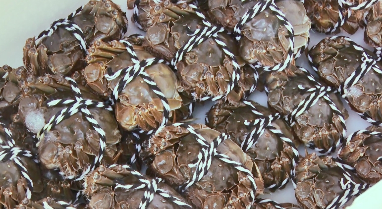 新鲜毛蟹(杨静平 摄) 新鲜毛蟹(杨静平 摄)