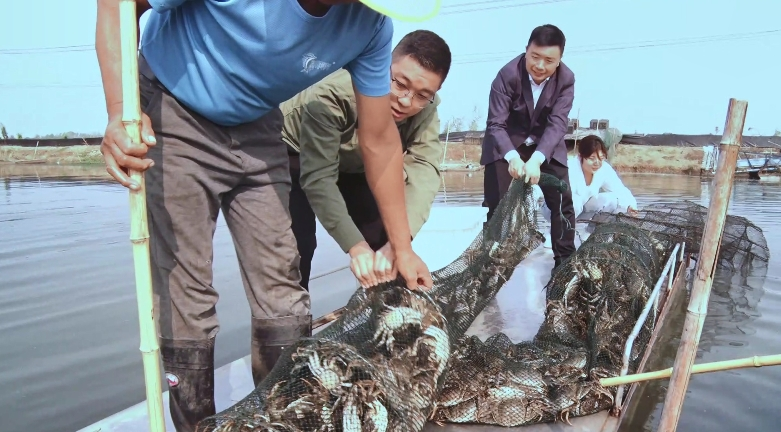 养殖户起网捕捞毛蟹(杨静平 摄) 养殖户起网捕捞毛蟹(杨静平 摄)