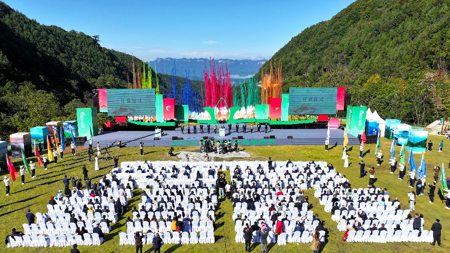 开幕式现场 （高志农 摄）
