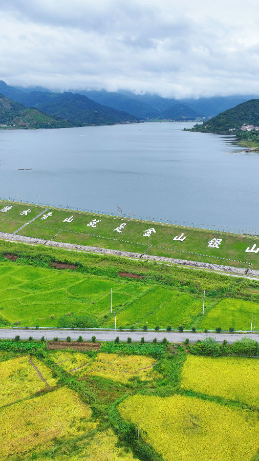 永安水库（金康 摄）