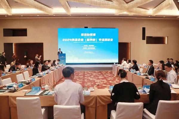 投资自贸港·2024外资企业（服务业）专场恳谈会现场（陈建峰 摄）