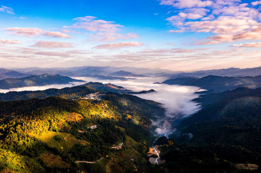 &nbsp;&nbsp;易武茶山好风光（邓海燕 摄）