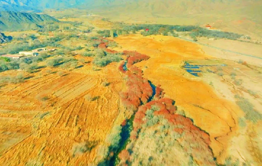 和硕县塔什汗国家湿地公园绝美景象令人目不暇接，美不胜收。（道尔利 摄）