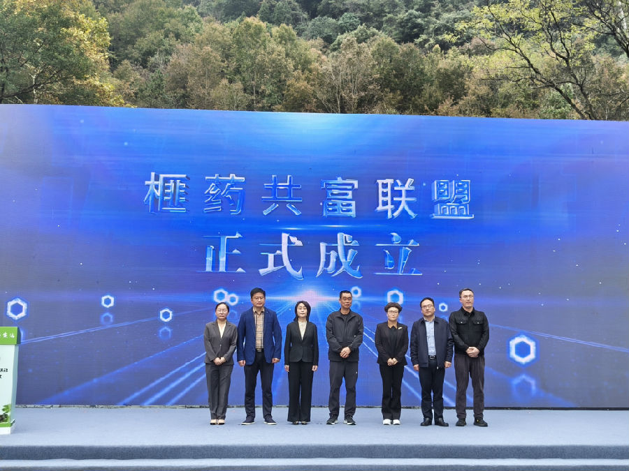 &nbsp;榧药共富联盟成立现场 （曾庆华 摄）