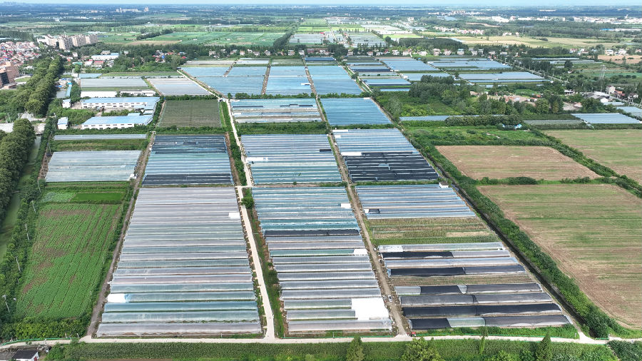 首衡城产地对接合作生产基地鸟瞰全景 （宓天鹏 摄）