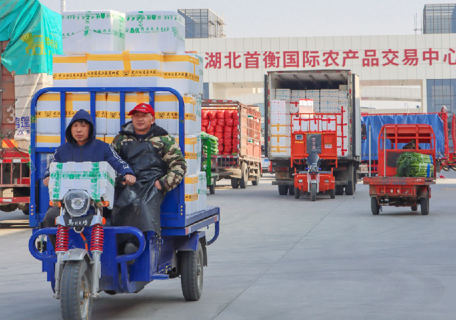 蔬菜区货运街景 （宓天鹏 摄）