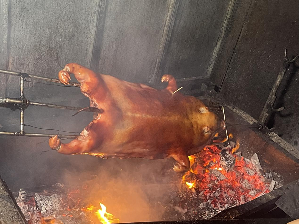 临高烤乳猪置于炭火上烤制（许丽雅 摄）