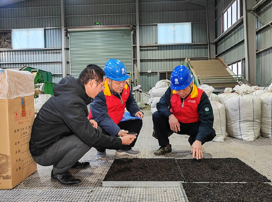 12月30日，国网建瓯市供电公司东峰供电所组织党员服务队来到位于建瓯市东峰镇的“共富工坊”，对其生产生活用电进行全面“体检”（张显凤　摄）