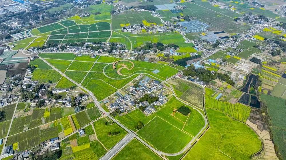 青竹粮油现代农业园区  （甄植林 摄）