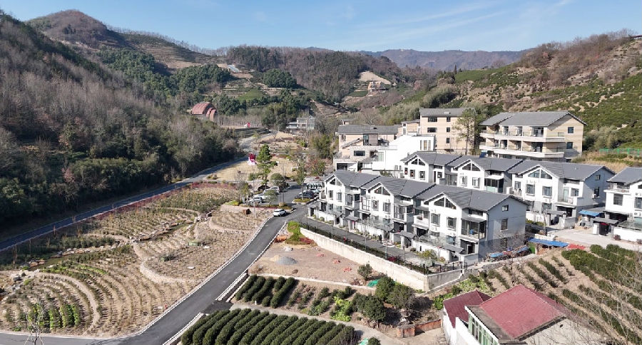  庐江一景（钱良好 摄）