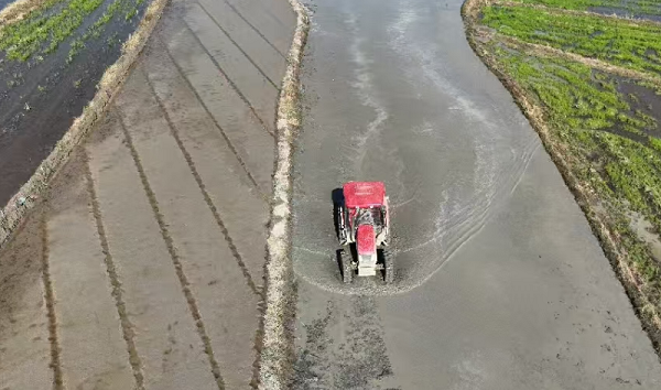 农业机械在田间穿梭（羊生才 摄）