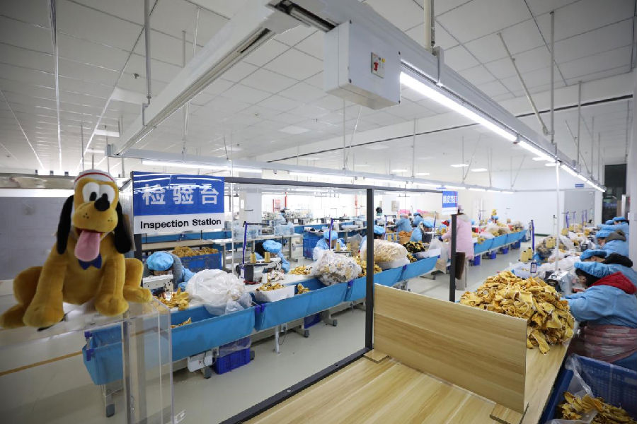 玩具企业专业化玩具缝纫车间（张南宁 摄）