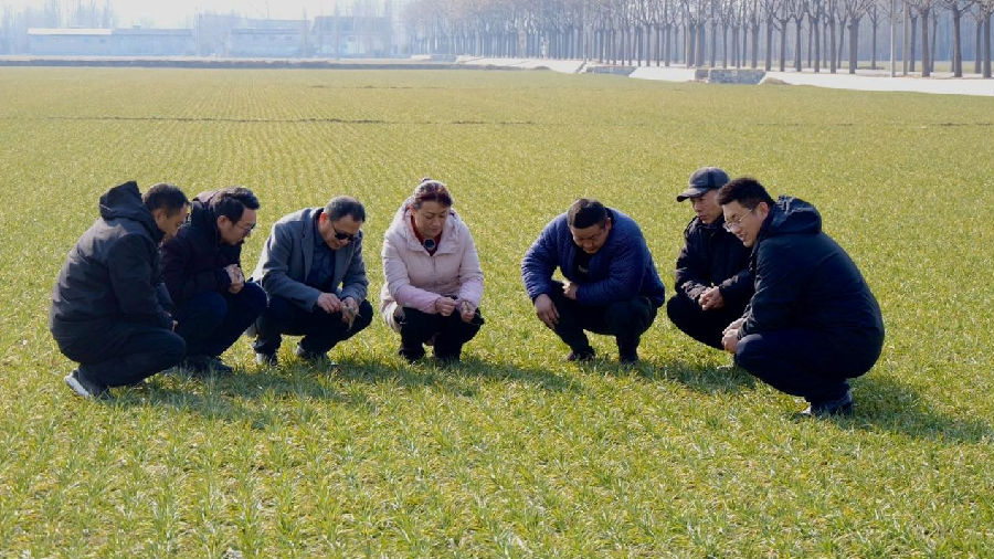 田间看墒情（张静 摄）